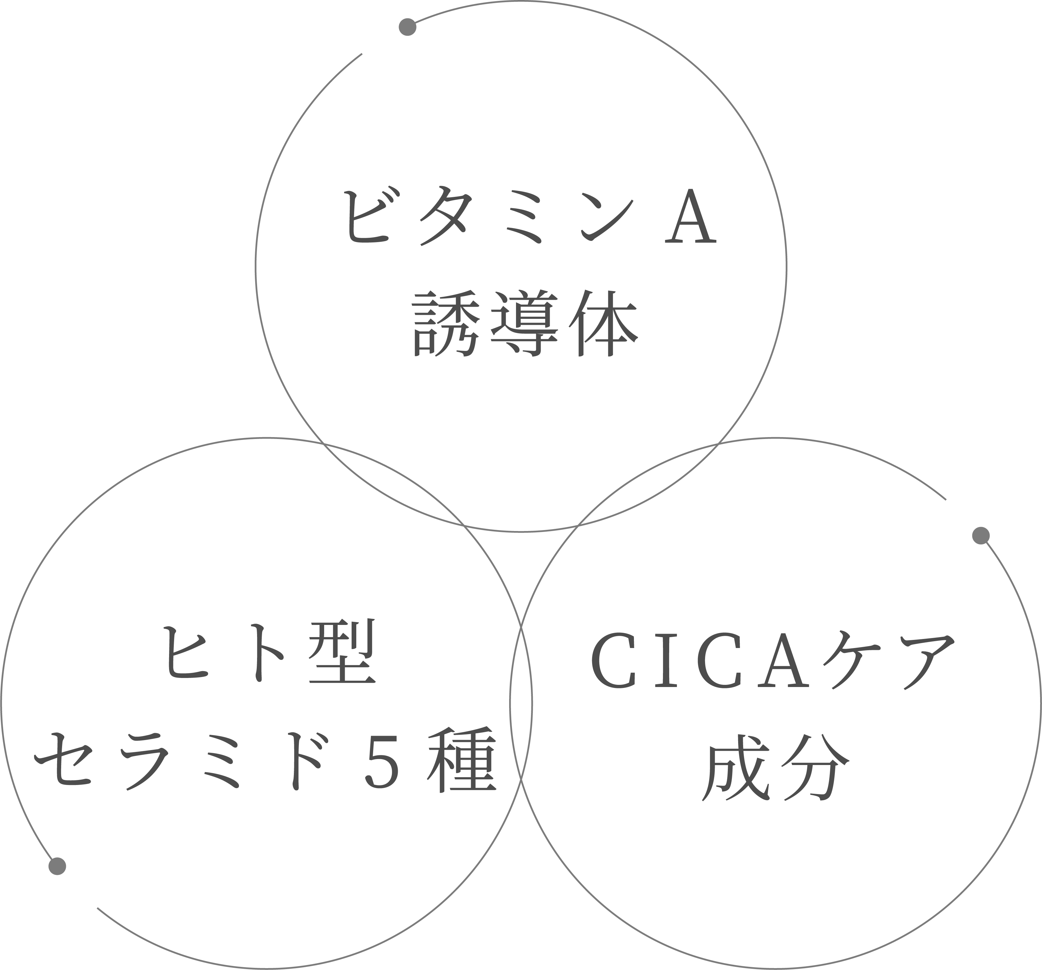 成分名の図